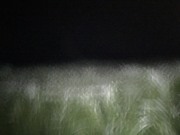 IMG_0763.JPG