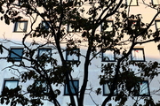 679d84499670967d.JPG