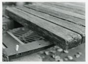 yagi_pic2